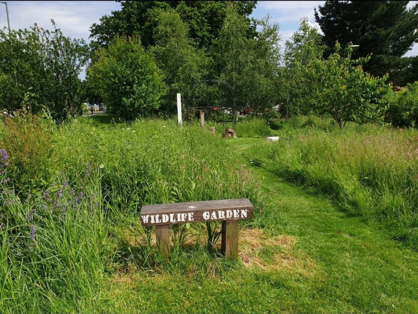 Merstham parks and greens